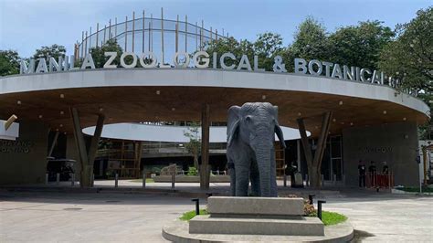 manilazoo.ph appointment|MANILA ZOO (2024) All You Need to Know BEFORE .